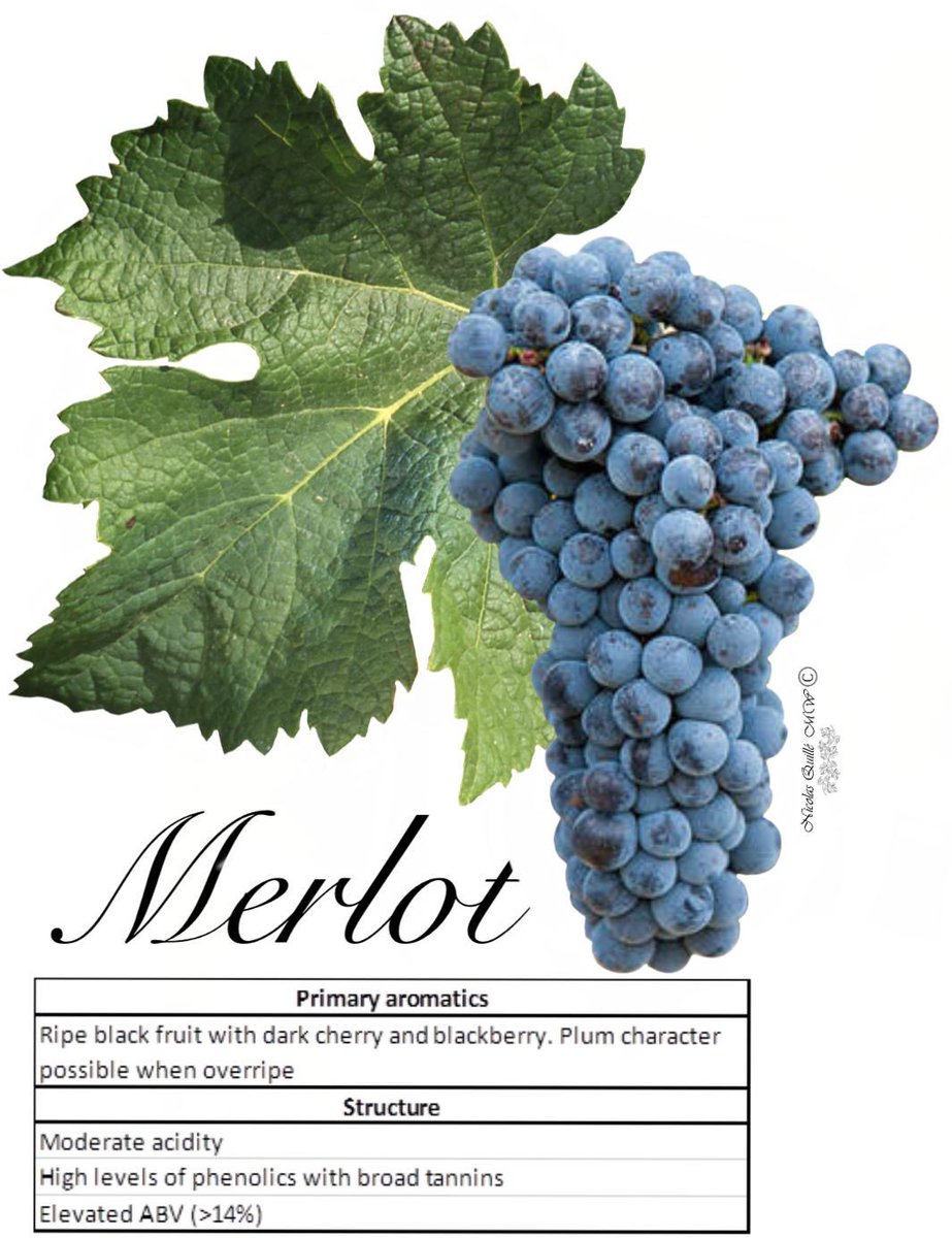 WineKnot.eth ᵍᵐ tweet media