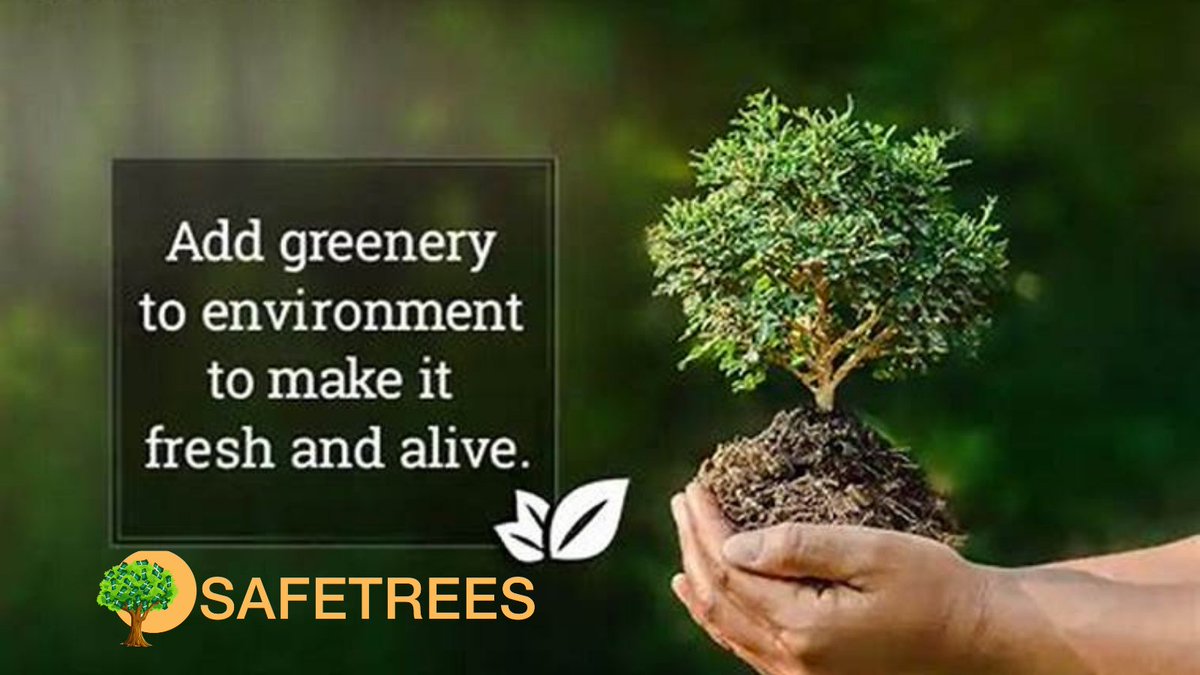 TREES token is a utility asset use for offsetting carbon footprints. It is designed to reward the token holders as well as serves as a token to the community’s Tree Adoption Marketplace
Check-out our telegram group: t.me/treestoken $TREES  #Trees2Gate #SAFETREES #TreesApp