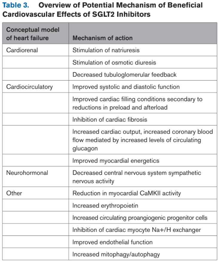 📌Mechanisms and Models in #HeartFailure
🔸Pathophysiology of HFrEF
🔸CardioRenal Model
🔸#SGLT2 inhibitors
🔸Cardiac Myosin Activators
#CardioEd #CardioTwitter #SGLT2i <a href="/CircAHA/">Circulation</a>