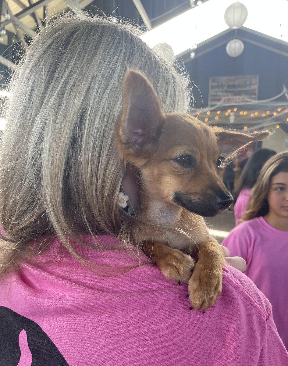 Enrique Vela tweet media