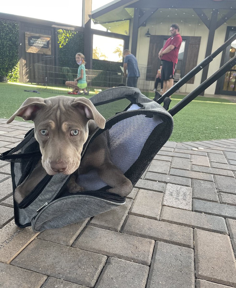 Enrique Vela tweet media