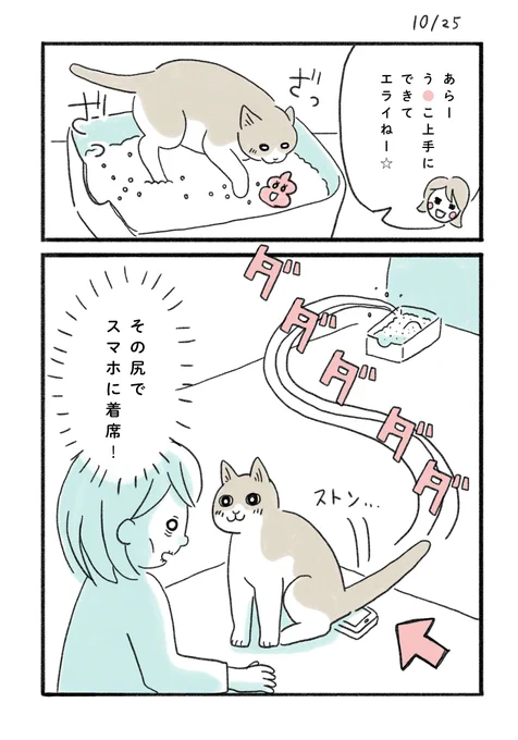 ウンコ・ハイの悲劇。

#みちこの日記   #コルクラボマンガ専科 #猫のいる暮らし 