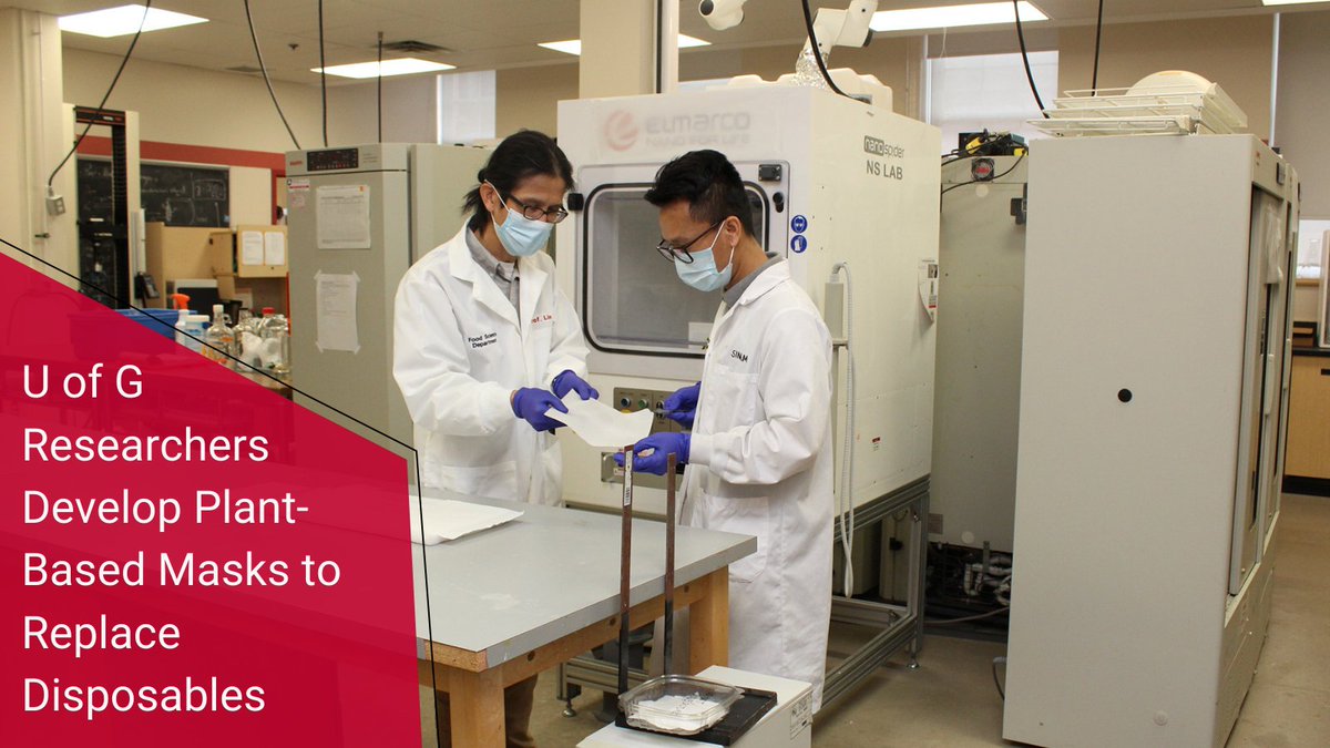 uofg's tweet photo. #UofGResearch |  Food scientists from #UofG are working on a biodegradable surgical mask filter made of plant cellulose that can filter better than typical masks.

Learn more: https://t.co/pG7V2to9LU https://t.co/yCuY8R3KnI