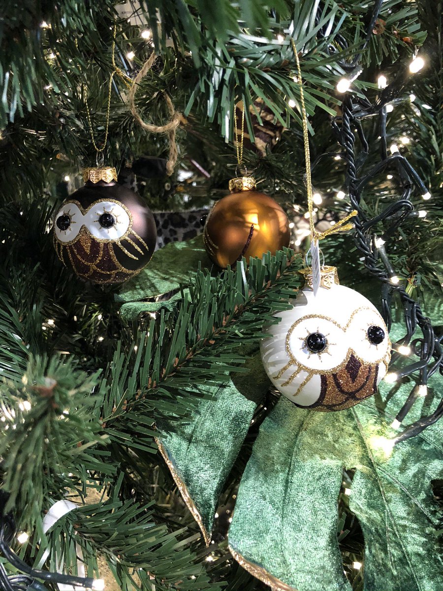 FestivalTreesSK's tweet photo. School or group rates are available to groups of 10 or more who pre-book a visit. Register your group visit: https://t.co/RdQRvdhAtW.
#fotyxe #yxeschf #saskatoonevents #yxeevents #xchristmasyxe #yxefundraiser #westerndevelopmentmuseum #wdm #fotsk #festivaloftreessk #saskatooning https://t.co/QXTSnYLKnk