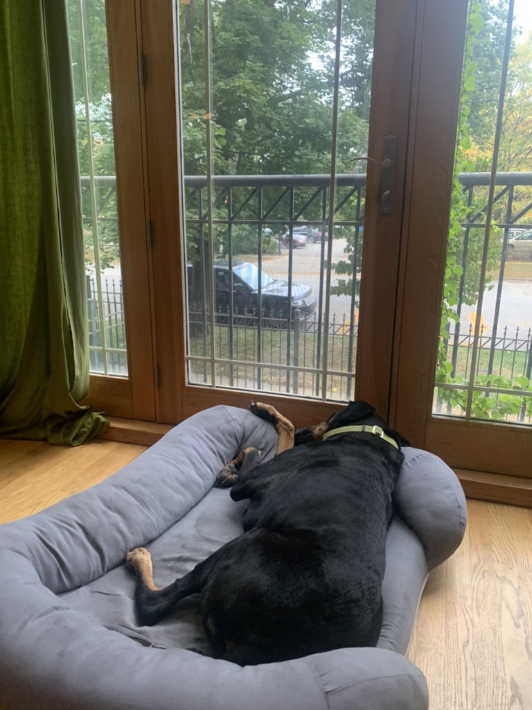 Scott Kummer tweet media