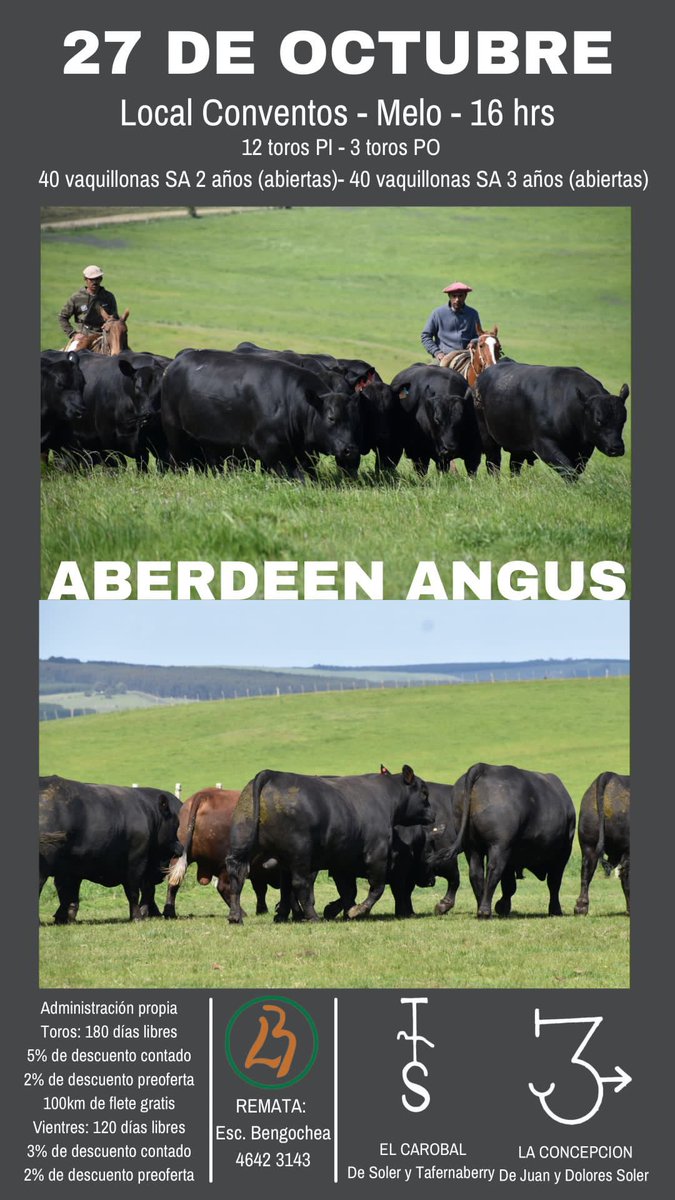 Joaquin Tafernaberry tweet media