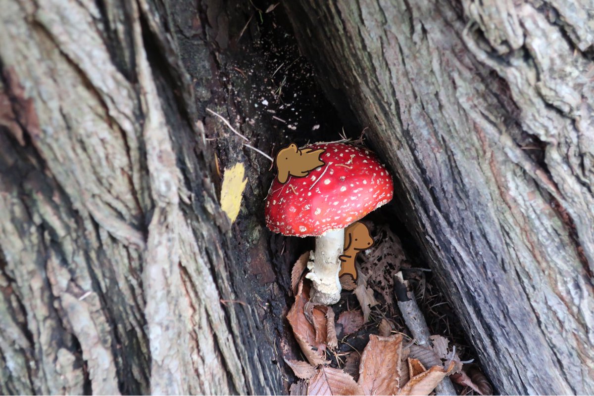 mushroom no humans traditional media cave rock general  illustration images