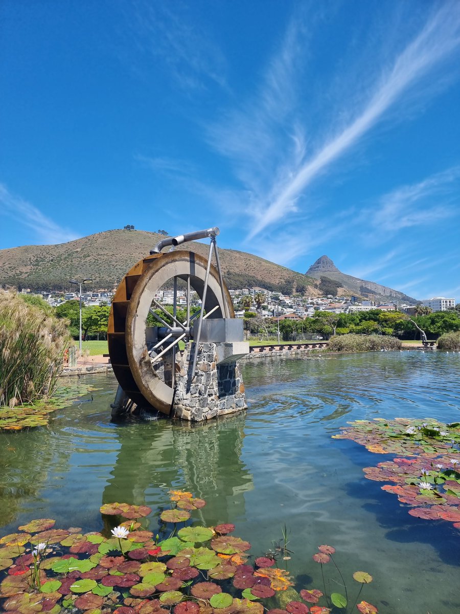 TheCapeTownGuy's tweet photo. Park visits after work. Captured on the Samsung Galaxy S21 Ultra 5G #GalaxyS21Ultra #GalaxyS21Ultra5G #WithGalaxy @SamsungMobileSA @SamsungMobileUS 🥰 https://t.co/aSd1WTbsbL