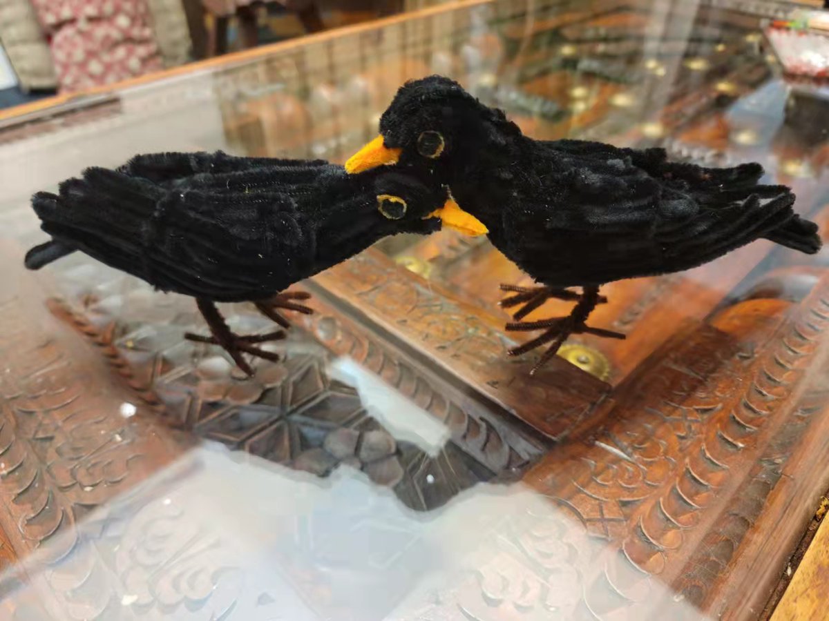 PolGangte's tweet photo. Just made these now out of pipe cleaners to show students tomorrow. Chinese Blackbird, Turdus Mandarinus - a local bird in my backyard. #TeachArt #birds #pipecleaners #鸟类 #黑鸟 https://t.co/05pwEJu0fF