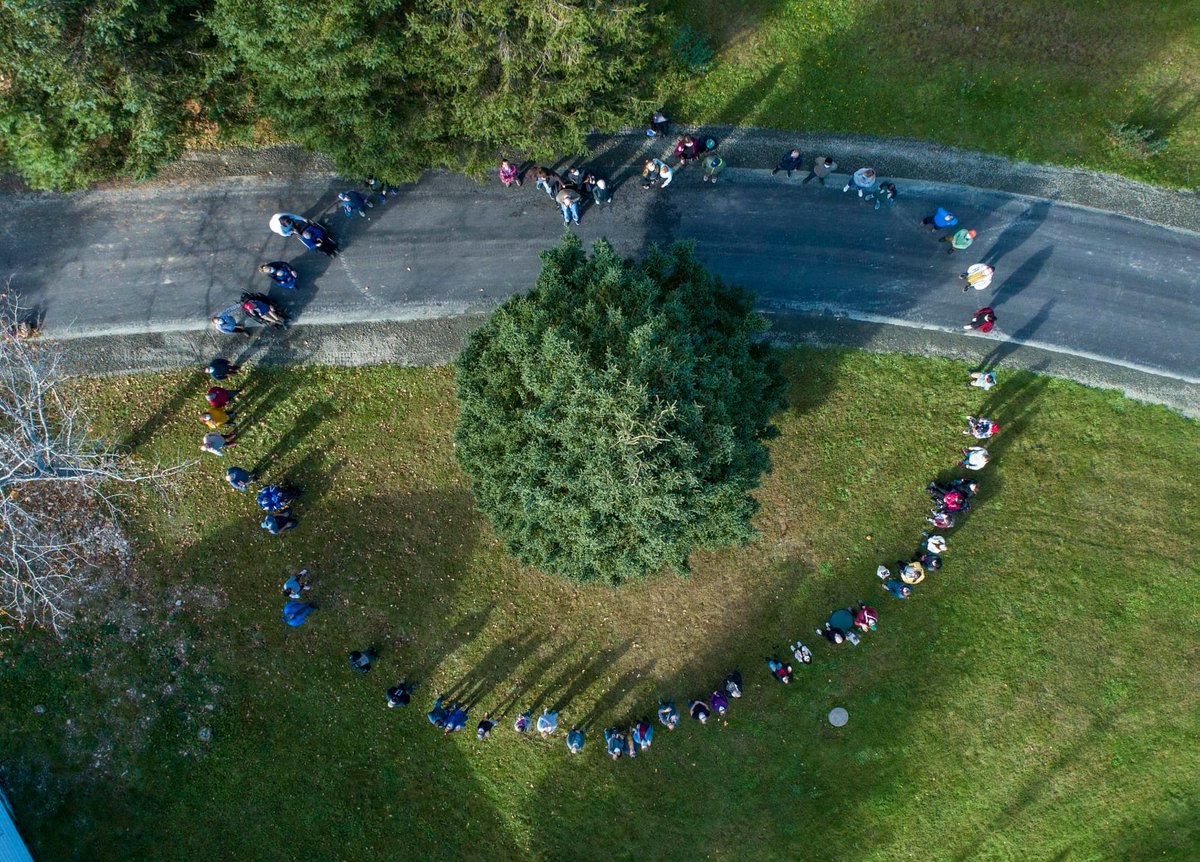 larchecb's tweet image. EXCITING NEWS!! 
L’Arche Cape Breton donates The Tree for Boston!