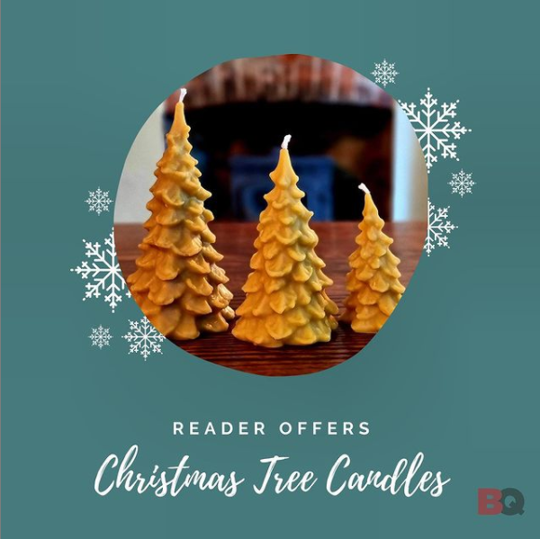 BQ_Mag's tweet photo. Don’t miss out on the Reader Offers in this quarters issue!
.
.
.
.
#bqmagazine #beesandpollinatorsquarterly #bees #pollinators #pollination #pollinator #pollinatorplants #beeswaxcandle #candles #christmas #christmasgiftguide #christmascandle #beeswax #honeybees https://t.co/pyUE148Rqu