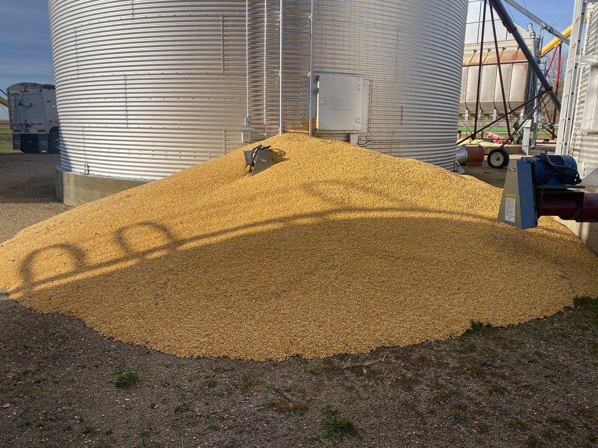 Bryan Biegler tweet media