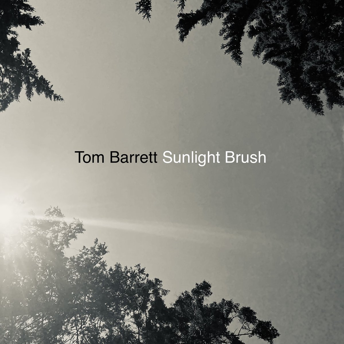 mint400records's tweet photo. Coming this week:
@reesevanriper "The Swamps Are Burning" LP
#TOMBARRETT "Sunlight Brush" Single
#newmusic #newmusicfriday #newmusicalert https://t.co/qmtqjPSMlQ