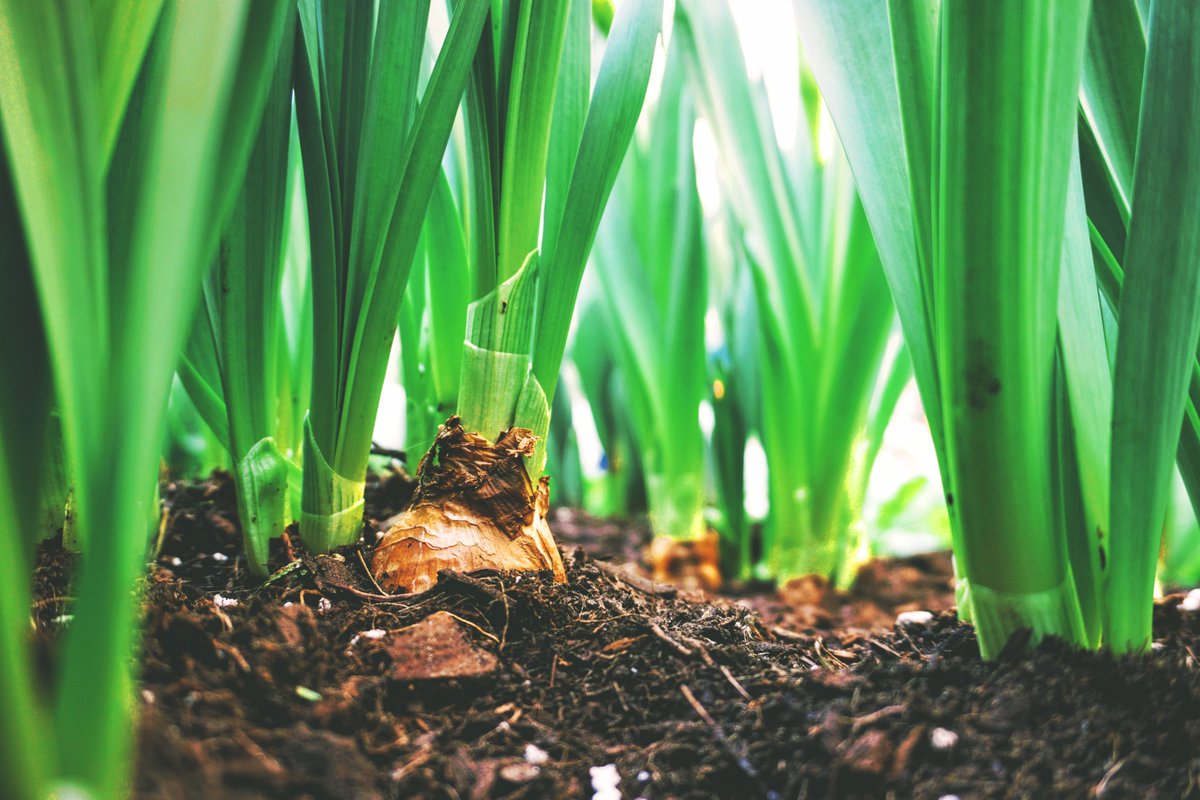 Danone_EU's tweet photo. 24% of global GHG emissions come from agriculture 🚜 To achieve EU Green Deal targets we believe a shift to #RegenerativeAgriculture is part of the solution. Regenerative Agri practices increase soil carbon content &amp; unlock the soils mitigation potential 🌱 https://t.co/97558jWqsI