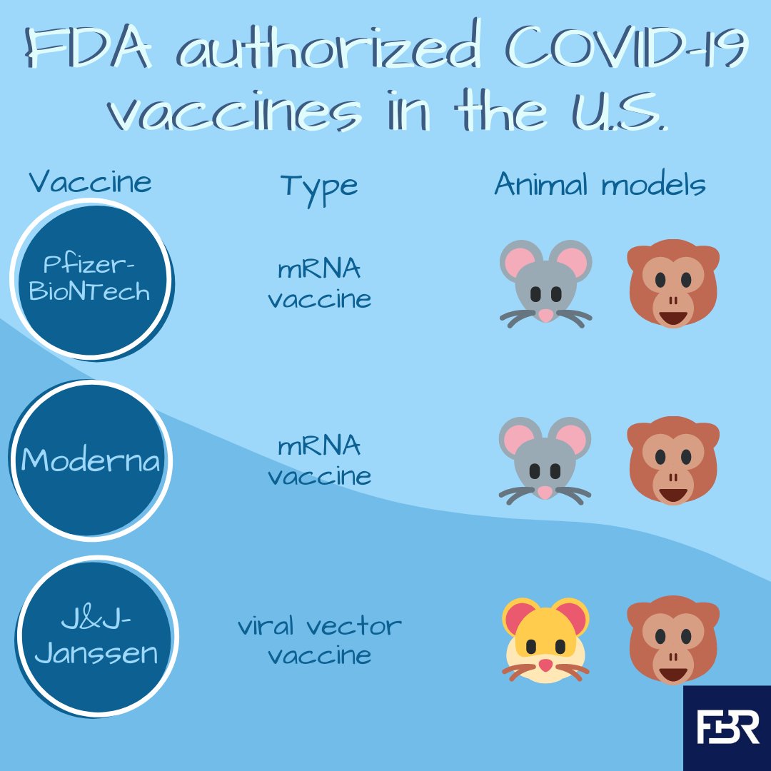 FBRorg's tweet photo. Animal models for #covid vaccines #CFASChat https://t.co/d6EgvEFYaq