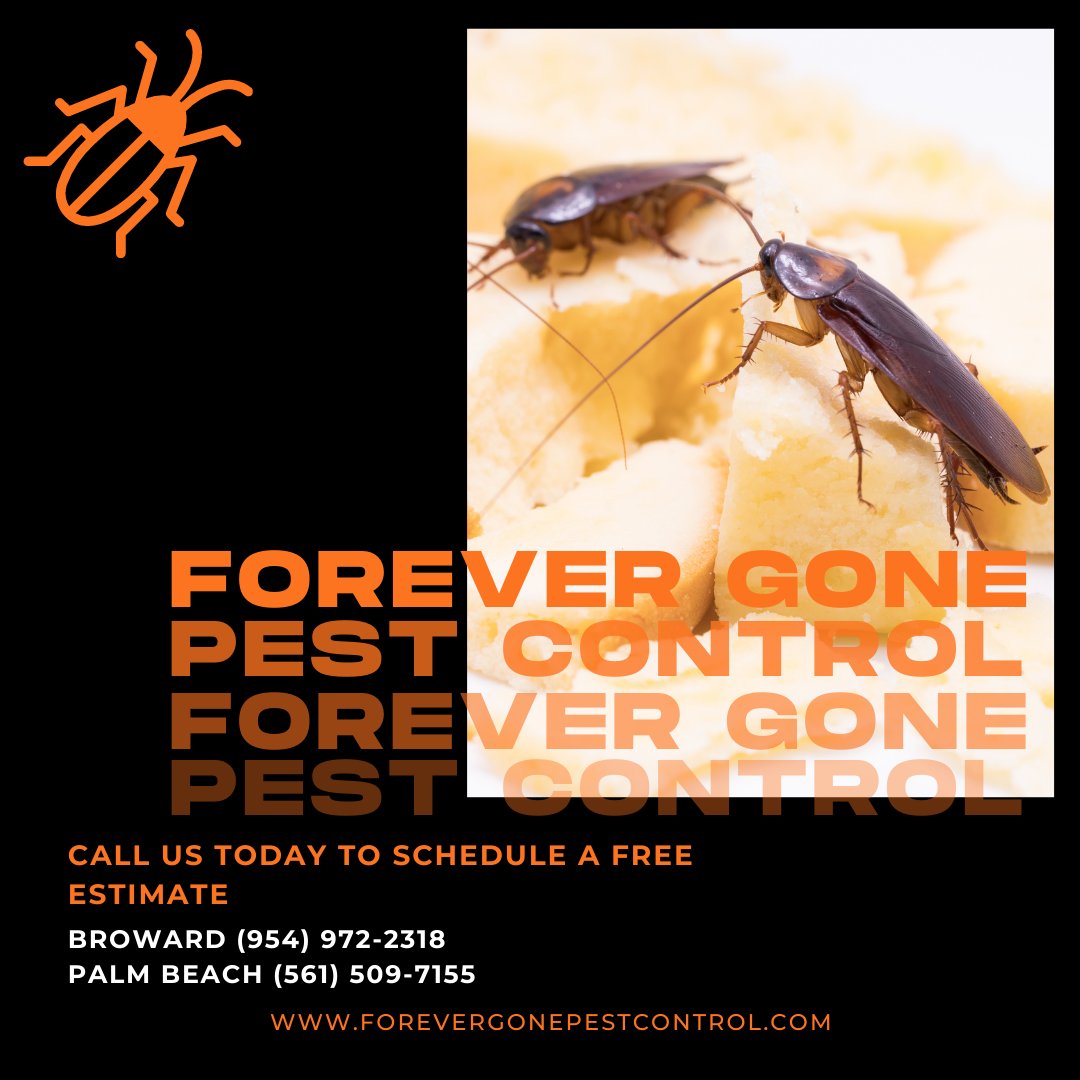 ForeverGonePC's tweet photo. Call for a Free Estimate Today for Your Business or Your Home!

#fall #pest #pestcontrol #southflorida #palmbeach #broward #bugs #forevergonepestcontrol #residential #commercial #lawncare #cockroaches https://t.co/4ItrsRKqy1