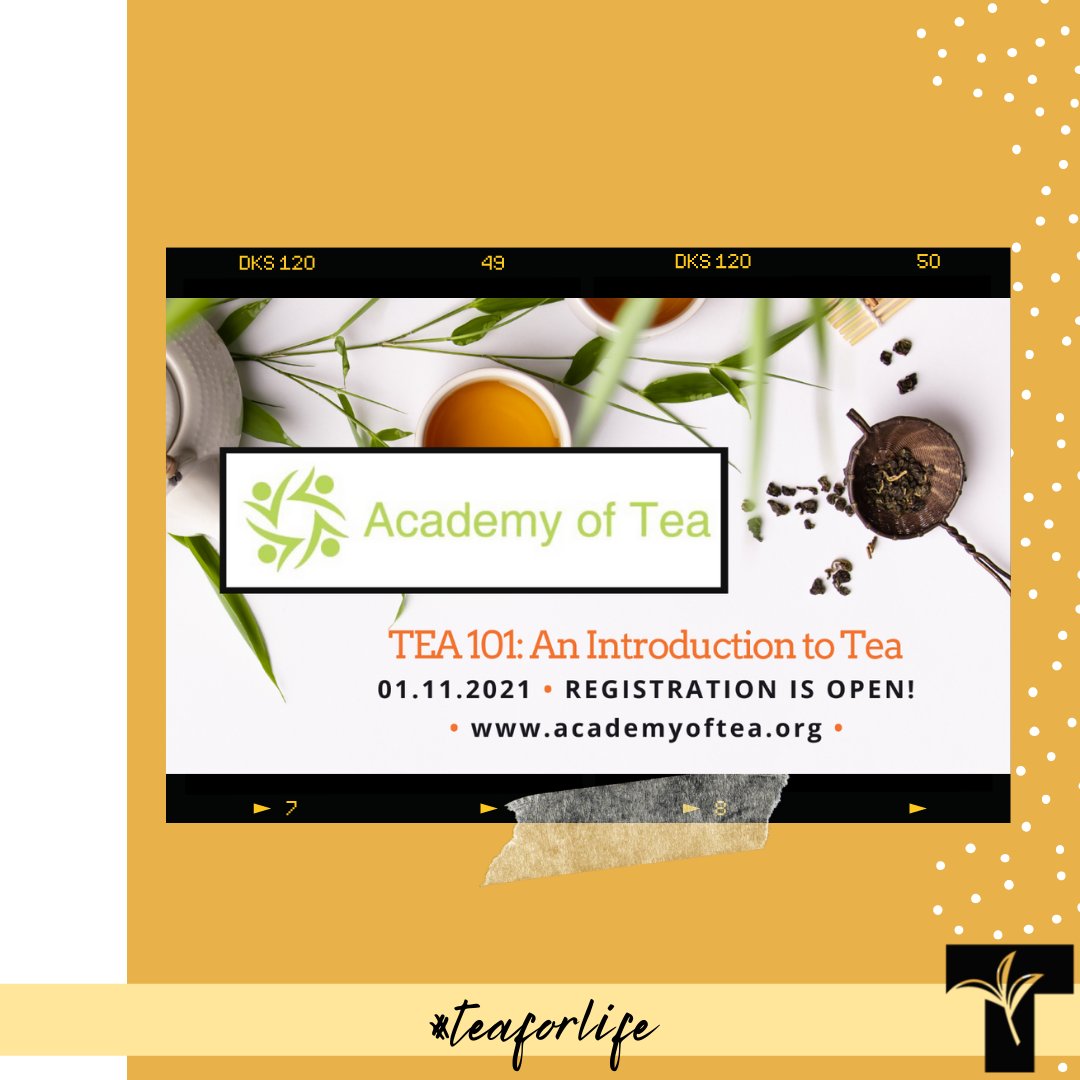 CanadaTea's tweet photo. The last 2021 online session of TEA 101 with the Academy of Tea is starting on November 8th. #TeaSommelier #BrewCrew #TeaSchool
Register here https://t.co/ekTPBAzyXt https://t.co/xFcgiDfBBx