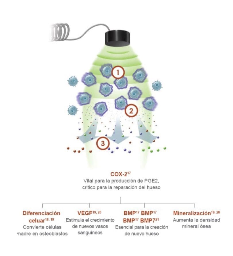 SD Trauma tweet media