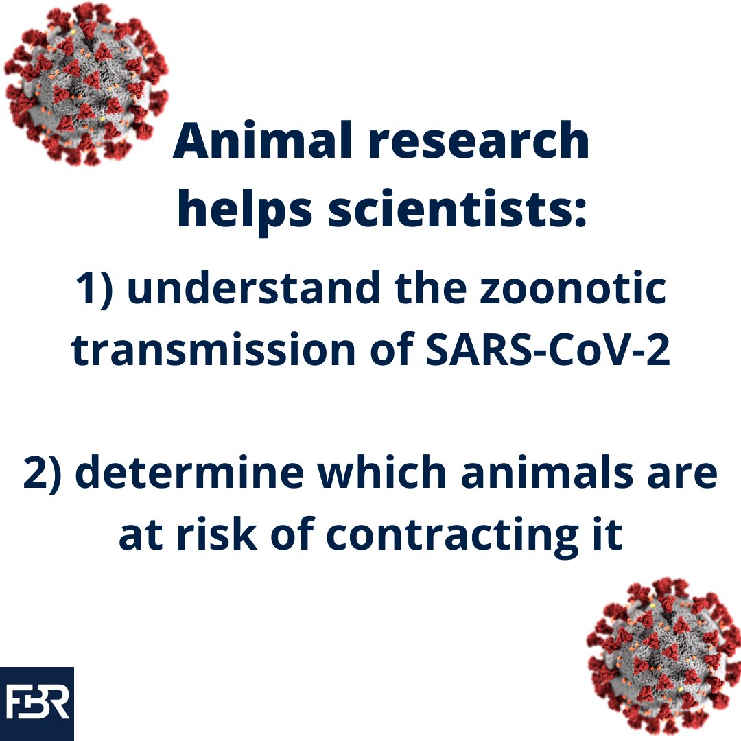FBRorg's tweet photo. We’ve come a long way in the past year and a half, but there’s still more to learn about SARS-CoV-2. Animal research is helping save lives. For more information on the benefits of animal research & testing, visit FBR’s website: https://t.co/sBzjq7j9YL. #CFASChat https://t.co/ejzhItBHxd
