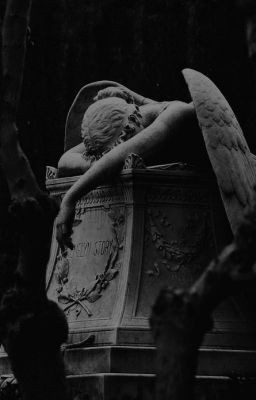 HELSINGSHILL's tweet photo. ⠀
⠀⠀⠀─┈  ❛ avva volturi 
⠀⠀⠀─┈  ❛ 127 anos 
⠀⠀⠀─┈  ❛ vampira 
⠀⠀⠀─┈  ❛ ela/ dela 
⠀⠀⠀─┈  ❛ INTP 
⠀⠀⠀─┈  ❛ @vtxavva
⠀ https://t.co/xWsch66Z1a