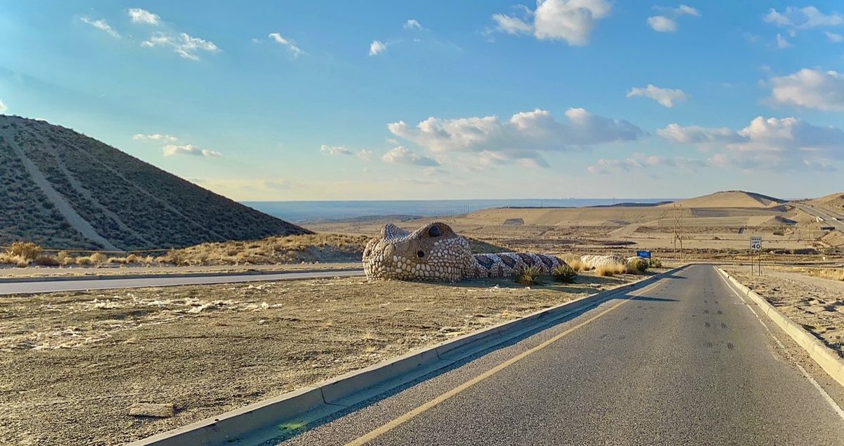 McAndrewTravels's tweet photo. There’s a diamondback rattlesnake on the loose in Albuquerque, New Mexico, and it won’t get out of the median ahhh!!! 💯🤣💥 #sweetpic #dimondback #rattlesnake #albuquerque #newmexico #travelfun #roadtrip #usa #somuchfun #makingmemories #youtubers #mcandrewtravels #subscribe 🥰 https://t.co/ege0rw955y