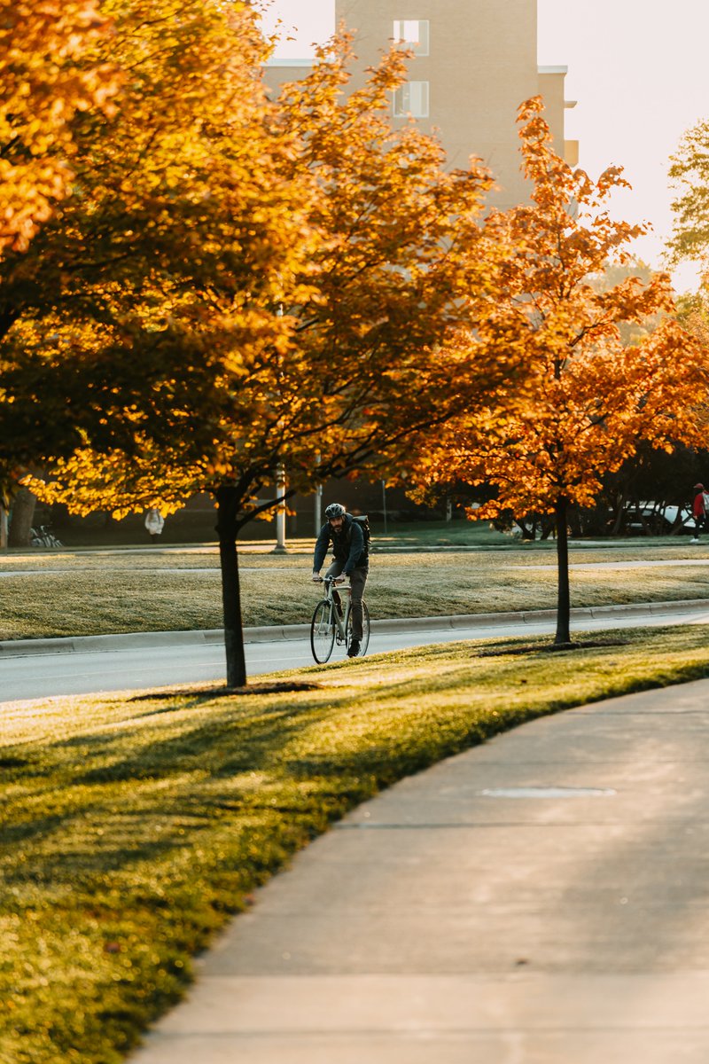 facilitiesmsu's tweet photo. POV: you've got an 8am at @MSUBroadCollege #MSU #MSUView https://t.co/mhKGdQi6fN