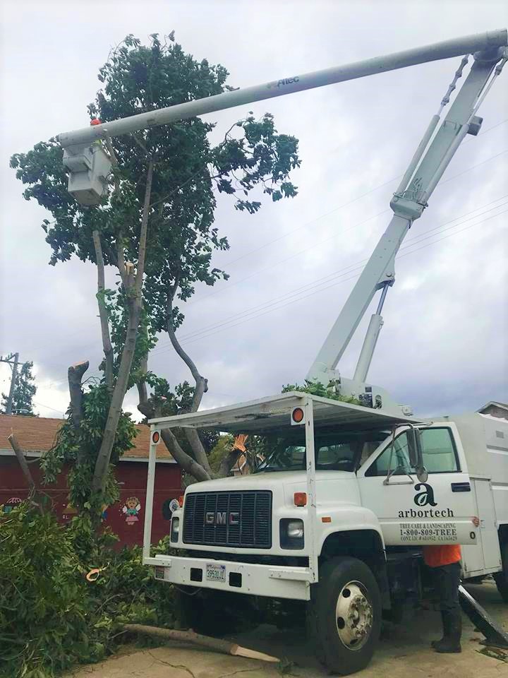 ArborTech1's tweet image. ArborTech Tree Care provides a full line of landscape services. arbortech1.net/landscape-cons… #TreePestControl #PestControlHayward #LandscapeConstructionRedwoodCity #Orinda #SanMateo
