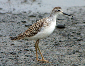 DoD NR Program tweet media