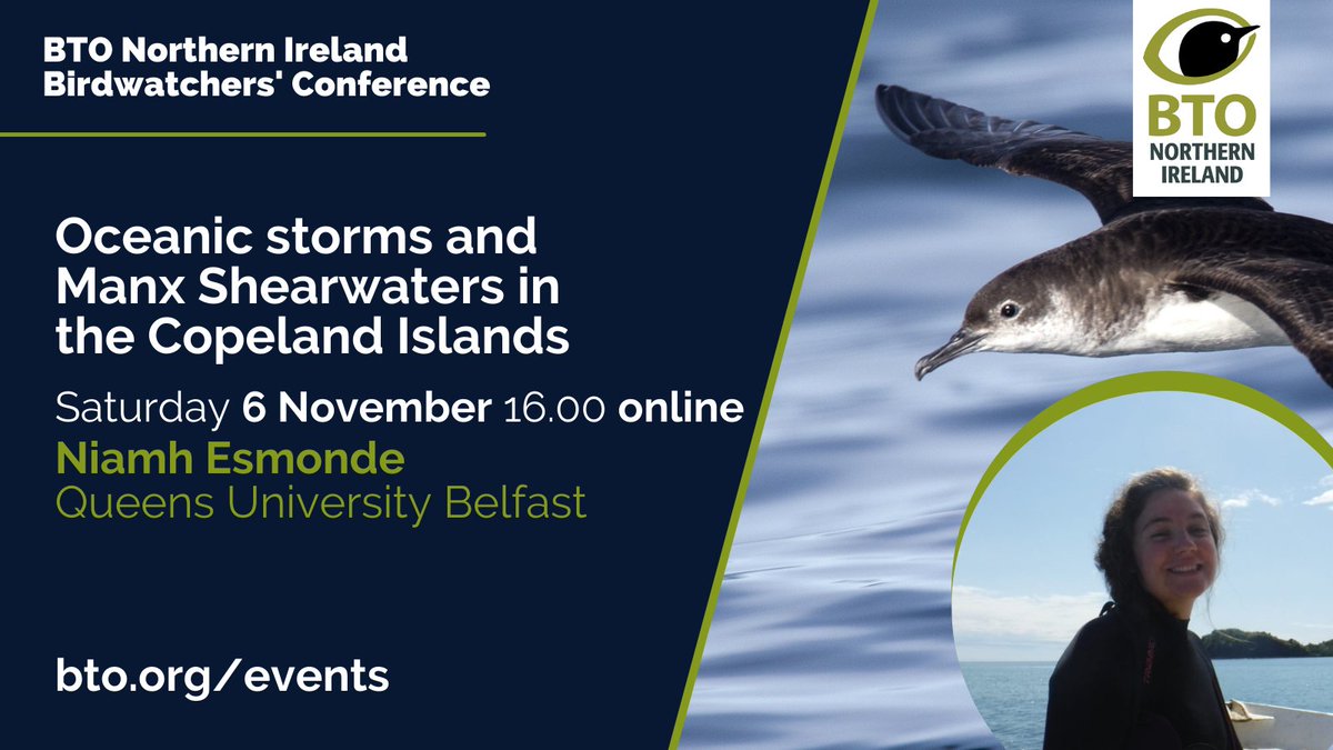 Join Niamh Esmonde from <a href="/QUBelfast/">Queen's University Belfast 🎓</a> at next week's BTO Northern Ireland Birdwatchers' Conference to learn more about the Copeland Islands' colony of Manx Shearwaters, the UK's longest-lived birds bto.org/events <a href="/nibirds/">NI Birds</a>