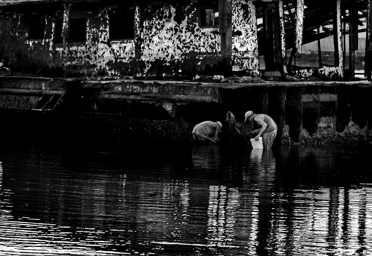 Dery27379532's tweet photo. #fishiman #pescadores #ostiones #oyster #blancoynegro #blackandwhite #barco #ship #fotografía #photography https://t.co/iqfUWhLiTt