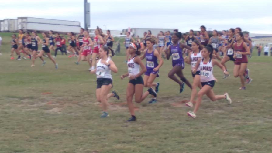 KempnerABC's tweet photo. So proud of Emilee McCoy competing this morning in Region 3 5A race, Huntsville! Such an mazing athlete.🐾🏃‍♀️@khs_gottarun #greatdaytobeacougar #fbisdathletics #khs_cougars #kempnerabc #kempnerhighschool #kempnerhs #WeareKHS #GoCougs https://t.co/y5A7bfbsgM