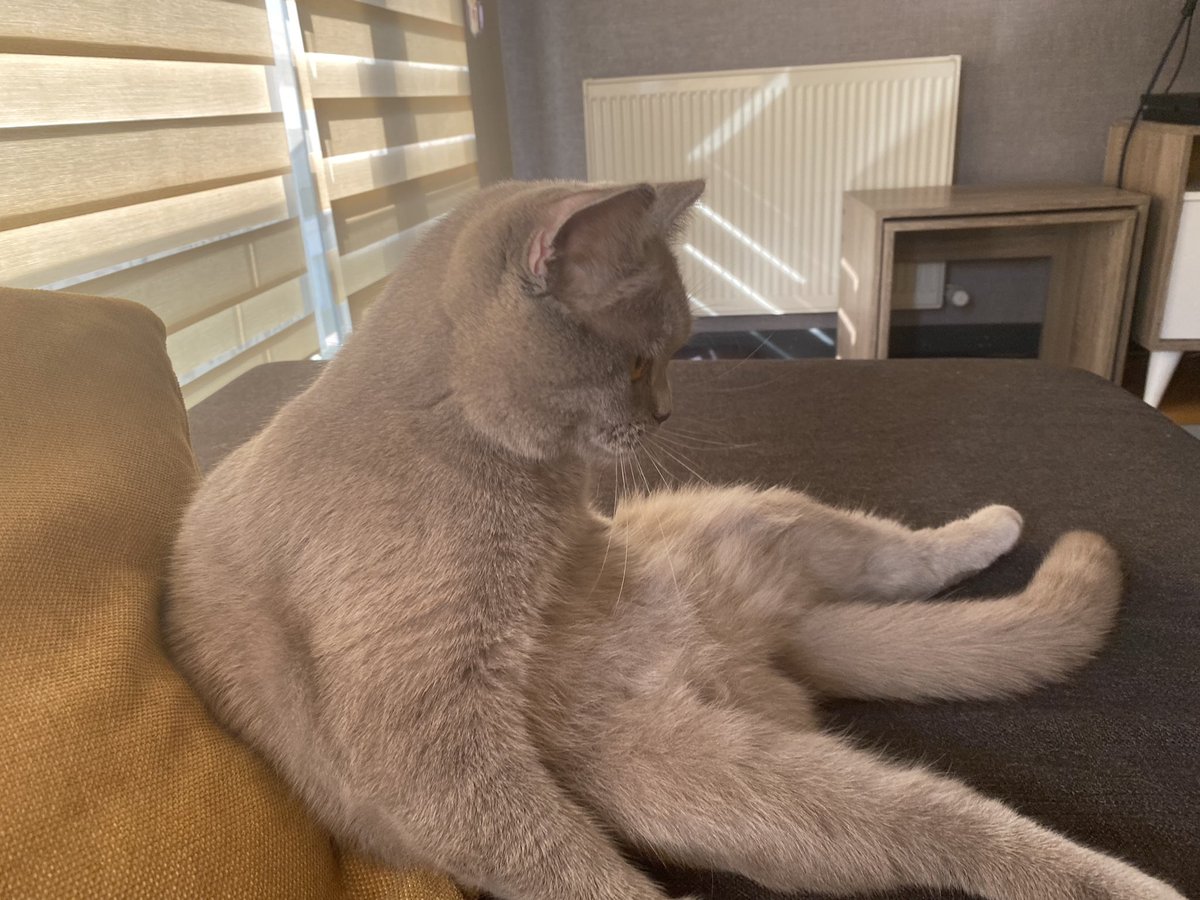 Ekonominin halini düşünüyor.