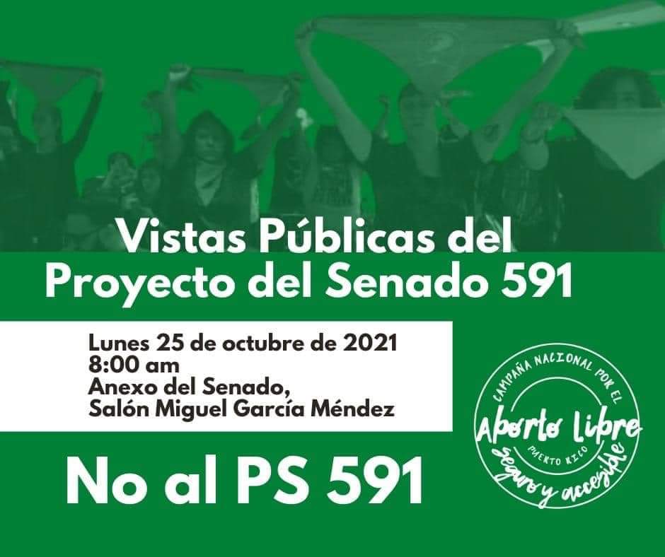 Vista Pública sobre el #PS591 para establecer la “Ley para la protección de la mujer en los procedimientos de terminación de embarazo y la preservación de la vida". Feministas denuncian que este proyecto lo que busca es restringir el acceso a la interrupción de embarazos.