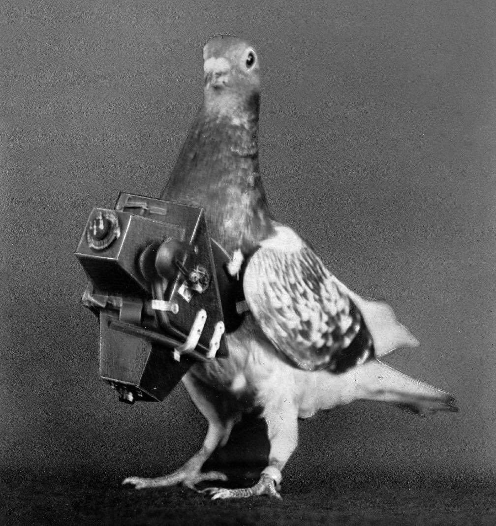 birdsarentreal's tweet photo. RARE photo captured of an early drone model https://t.co/FlZbkegufu