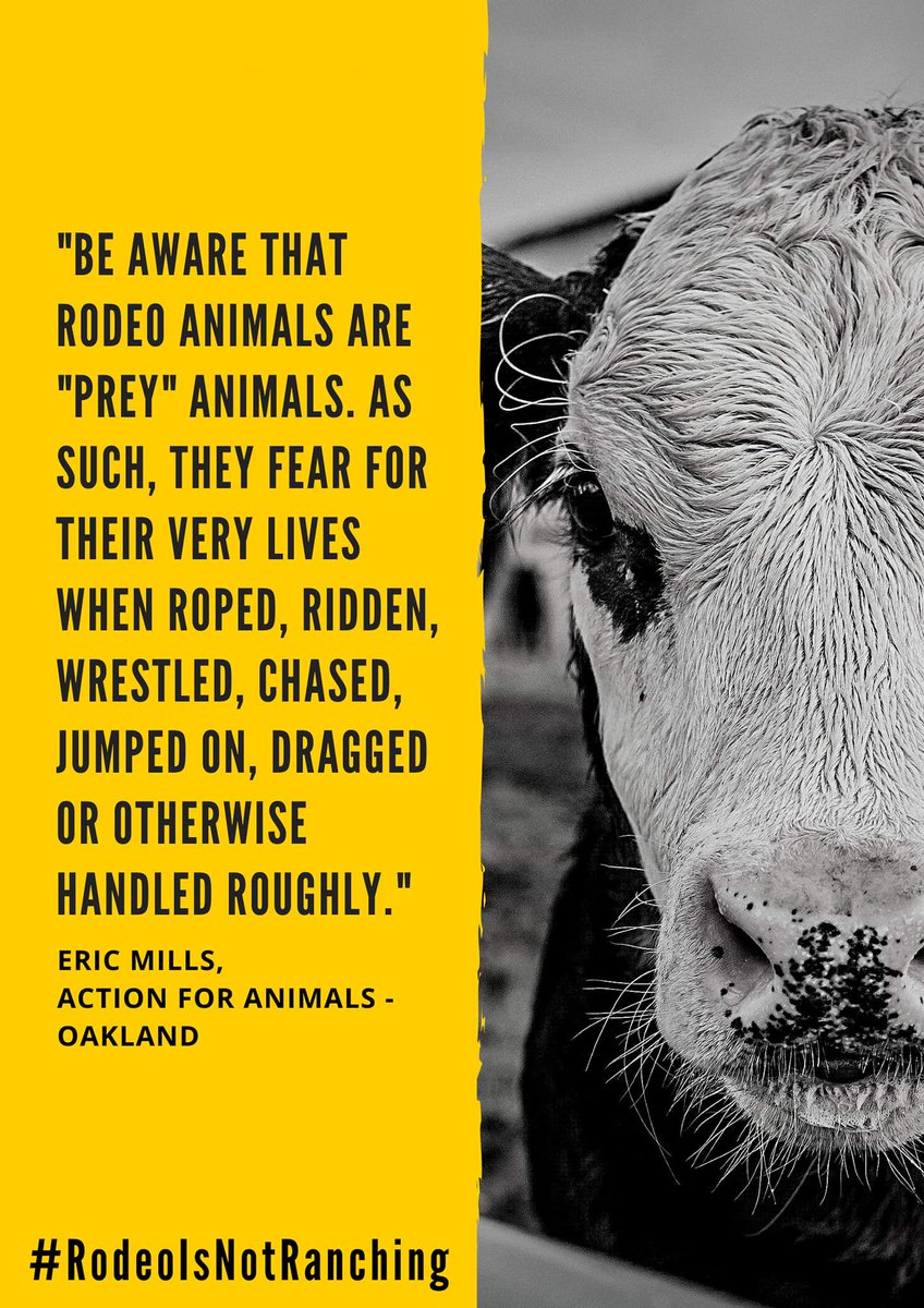 Action for Animals - Oakland CA tweet media
