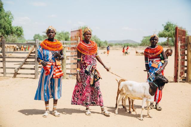 REAL_Award's tweet photo. If you missed our discussion on Tools to Identify Impactful, Feasible Behaviors for Increasing Resilience you can access the event recording and resources here: 
https://t.co/BqtKWpkQW5
@food4thehungry @USAIDSavesLives https://t.co/QzEqZGktBu