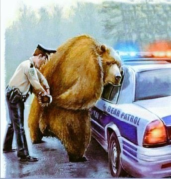 holy shit ________ ?