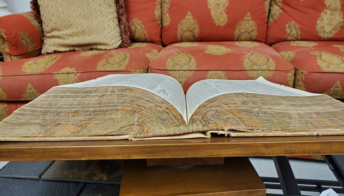 It's #MarbledMonday! Today we recognize and celebrate marbling in the wild, this is the dictionary in our staff room that has its page edges decorated.