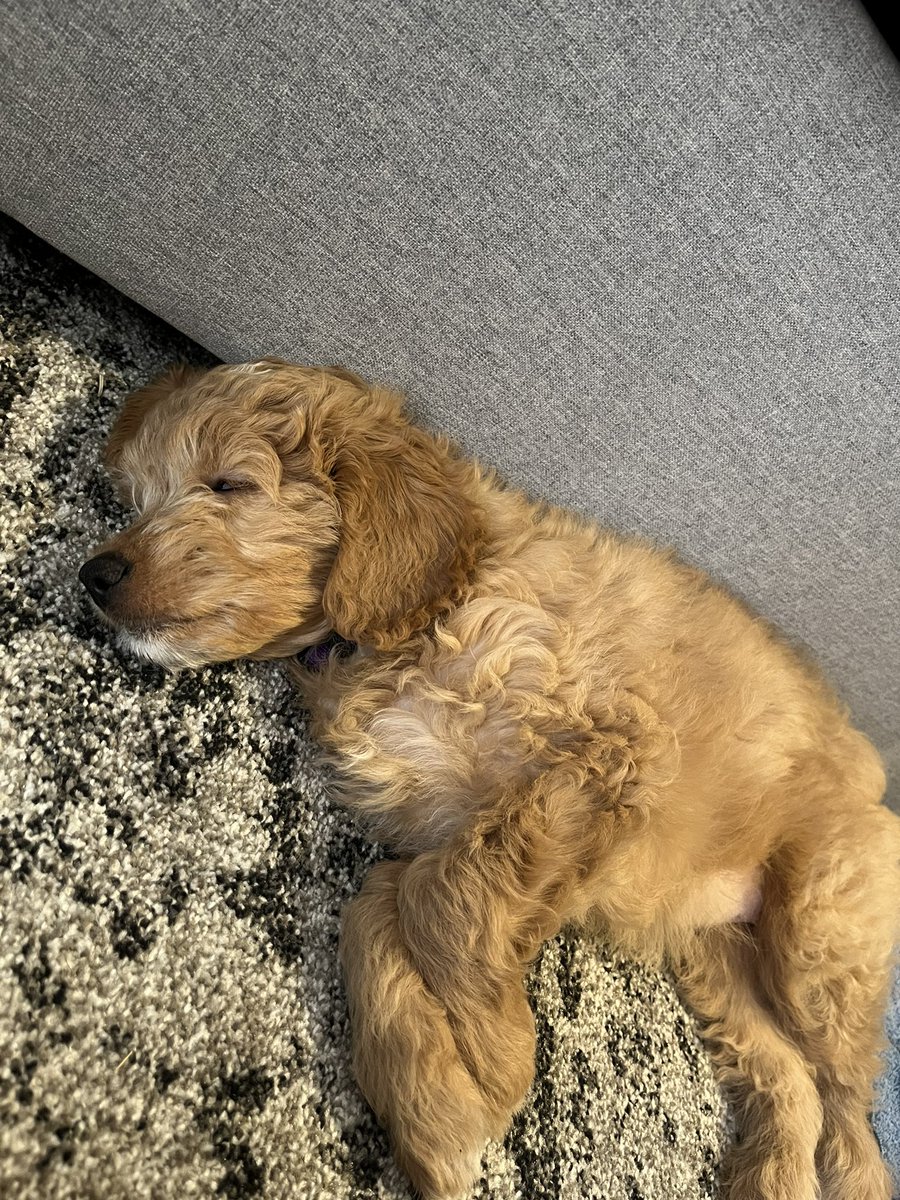 xtiiinaaaa's tweet photo. I just love her so much 🥺 https://t.co/qjEV6LXiKx