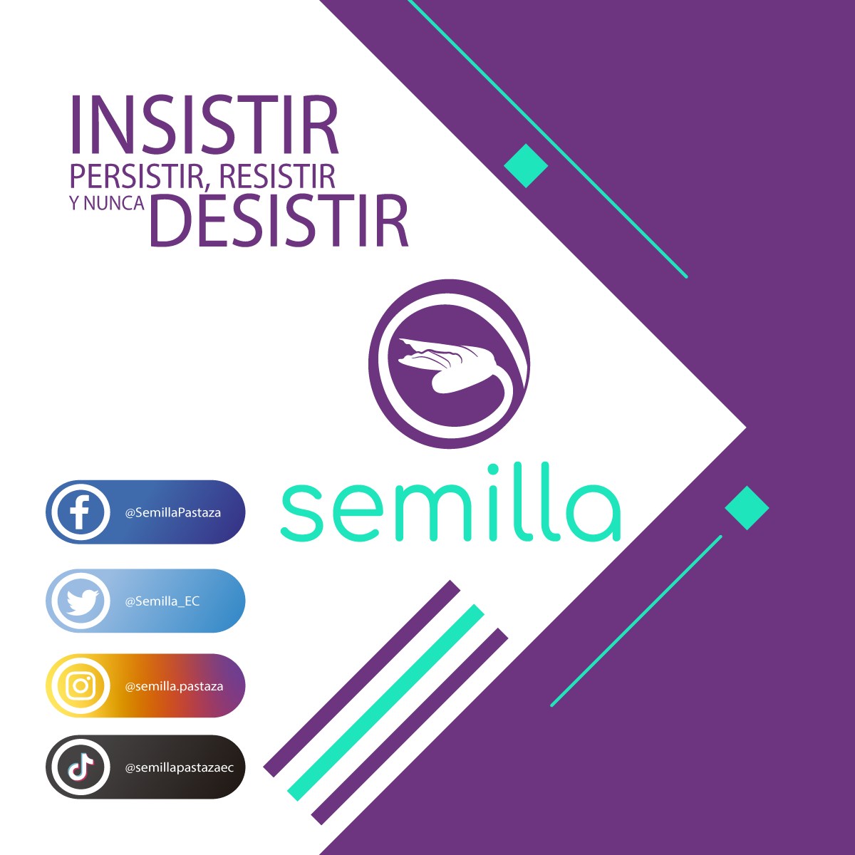 Semilla_EC's tweet photo. INSITIR, PERSISTIR, RESISTIR Y NUNCA DESISTIR.
#SemillaPastaza
#SomosSemillaSeremosBosque
#SeguimosSembrando
#AnimoAnimoAnimo
https://t.co/ruXwgjdVNM https://t.co/7kI7mWld6F