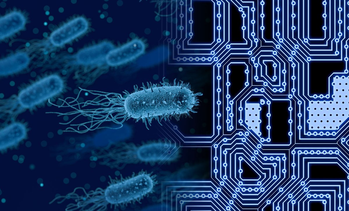 Very excited to announce we have a three-year PostDoc position available in our lab at the University of Oxford! We are looking for candidates with SynBio/Biotechnology expertise who can  start early-mid 2022 . my.corehr.com/pls/uoxrecruit…