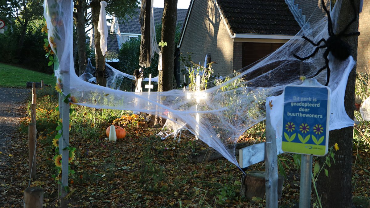 Buurttuin Kempehof veranderd in spookachtige begraafplaats

sittard-geleen.nieuws.nl/nieuws/2021102…