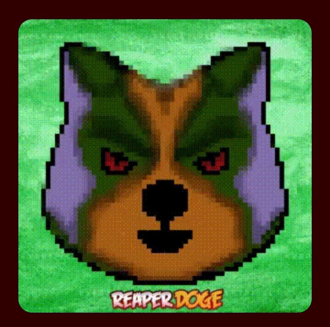 Constantine_II_'s tweet photo. @nftbadger https://t.co/Z5NFiR0iAO
@ReaperDogeNFT mint dapp is there and your Reaper is waiting for you to own 👌 Just open your MetaMask and connect, mint 1 or 10 Reapers with a press of a button ✅ 
https://t.co/20bfazAB9Z

#bnb rewards for holders👀 https://t.co/QwbVSBI1E3 https://t.co/K65HiSp95k