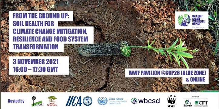 Leigh Ann Winowiecki (@lawinowiecki) on Twitter photo Let's make sure we talk about #soil at the #COP26
Register here: bit.ly/3EcRdCd
From the Ground Up: Soil Health for Climate Change Mitigation, Resilience and Food System Transformation
<a href="/WWFLeadFood/">João Campari</a> <a href="/UNCCD/">UN Land and Drought</a> <a href="/CIFOR/">CIFOR</a> <a href="/ICRAF/">World Agroforestry</a> <a href="/IICAnews/">IICA</a> @WBCSD <a href="/BiovIntCIAT_eng/">Alliance of Bioversity International and CIAT</a> <a href="/4per1000/">4p1000initiative</a> Let's make sure we talk about #soil at the #COP26
Register here: bit.ly/3EcRdCd
From the Ground Up: Soil Health for Climate Change Mitigation, Resilience and Food System Transformation
<a href="/WWFLeadFood/">João Campari</a> <a href="/UNCCD/">UN Land and Drought</a> <a href="/CIFOR/">CIFOR</a> <a href="/ICRAF/">World Agroforestry</a> <a href="/IICAnews/">IICA</a> @WBCSD <a href="/BiovIntCIAT_eng/">Alliance of Bioversity International and CIAT</a> <a href="/4per1000/">4p1000initiative</a>