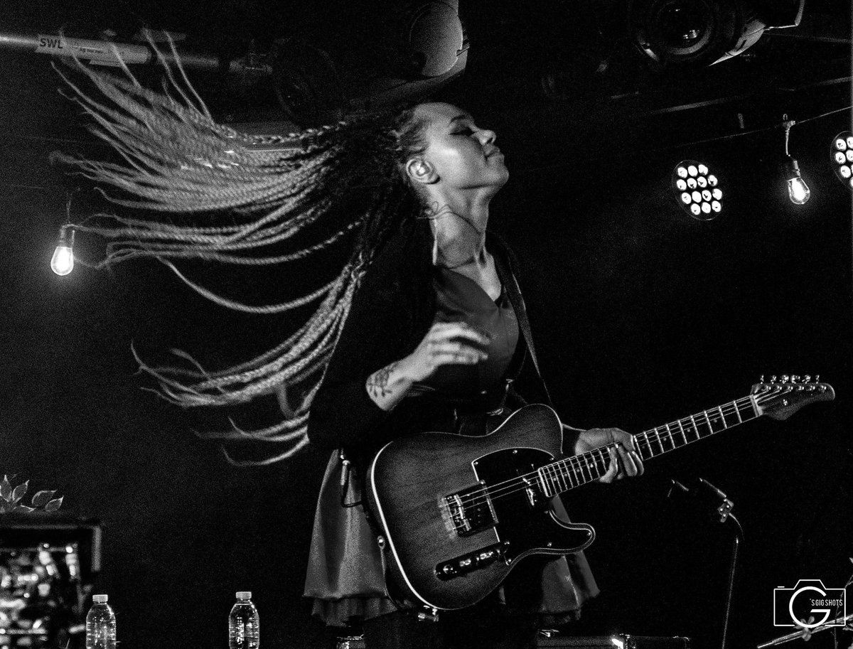 gordon armstrong tweet media