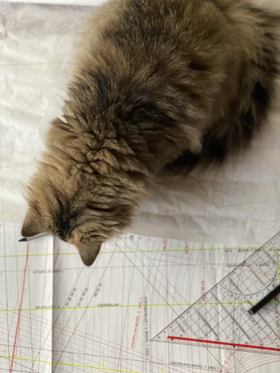 patquintelier's tweet photo. Wat houdt je bezig vraagt Twitter… dit houdt me bezig…. #werktnietecht #soortassistent #kattenspam #friendswithpaws https://t.co/o9E9F9XJMC