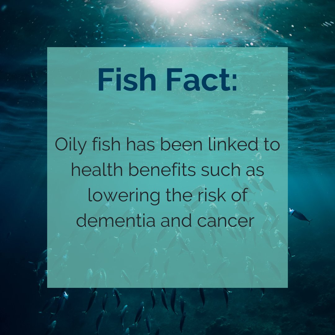 Oily fish can prevent cancer and dementia as well as treat mental disorders and bone health. 
Studies show that we should be consuming 2 portions of oily fish each week to stay fit and healthy 💪💪  

Types of oily fish include:
- Salmon
- Mackerel
- Sardines 
🐟

#fish #fishfact