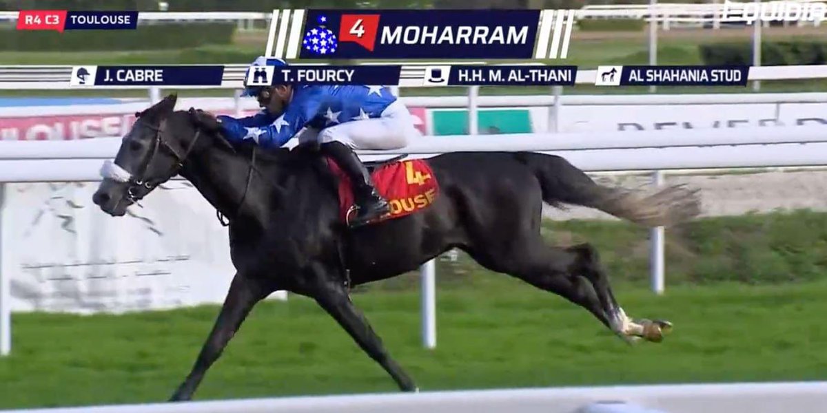 Prix Cheri Bibi (Gr3PA) 
1600m, Toulouse, France

1. MOHARRAM (FR)
2. Safwah (FR)
3. Ghazi Al Zaman (FR)

Dist: 2.5,1  Time: 1.47.40