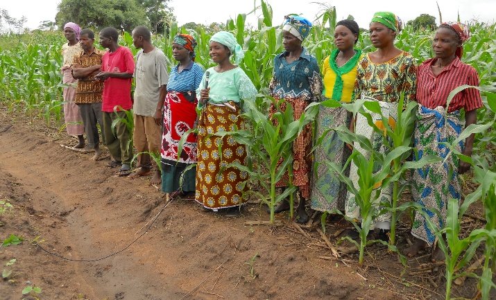 Women are an important factor in food production and development