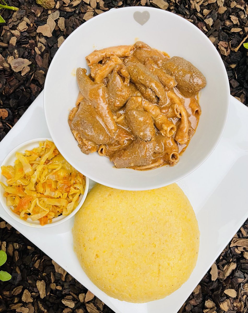 NevariMpho's tweet image. T-man Supper served 
Nothing hectic 
Mogodo and my Venda tradition yellow pap 
#Magickitchen
#ITISNOWORNEVER
#WORKINPROGRESS
#CONSISTENCY
#DEDICATION
#DETERMINATION
#BEKINDTOYOURSELF
#KEEPTHEFAITH
#ITISWELLWITHMYSOUL